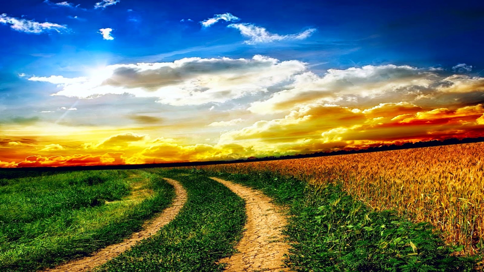 masa%C3%BCst%C3%BC rooteto2